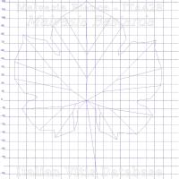 foglia ampelometrica