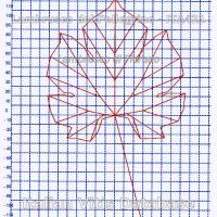 foglia ampelometrica