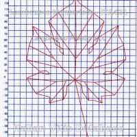 foglia ampelometrica