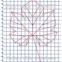 foglia ampelometrica