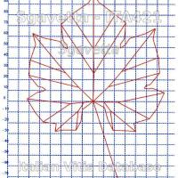 foglia ampelometrica