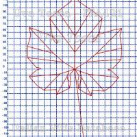 foglia ampelometrica