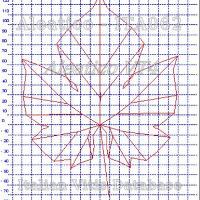 foglia ampelometrica