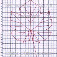 foglia ampelometrica