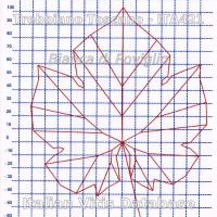 foglia ampelometrica