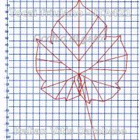 foglia ampelometrica