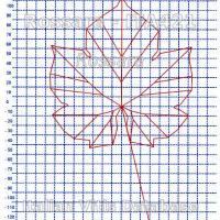 foglia ampelometrica