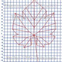 foglia ampelometrica