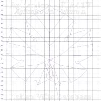 foglia ampelometrica