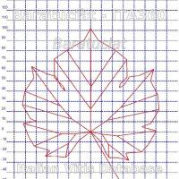 foglia ampelometrica