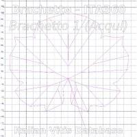 foglia ampelometrica