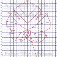 foglia ampelometrica