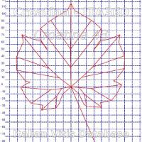 foglia ampelometrica