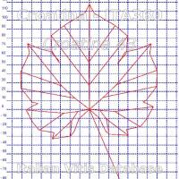 foglia ampelometrica