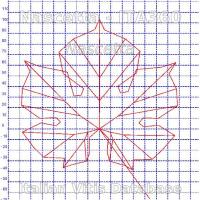 foglia ampelometrica