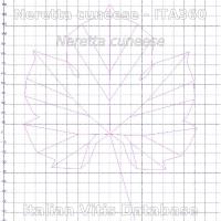 foglia ampelometrica