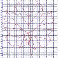 foglia ampelometrica