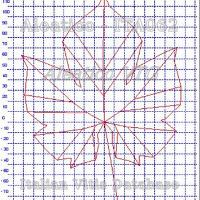 foglia ampelometrica
