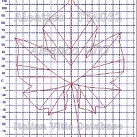 foglia ampelometrica