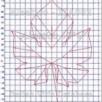 foglia ampelometrica