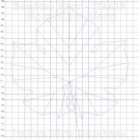 foglia ampelometrica