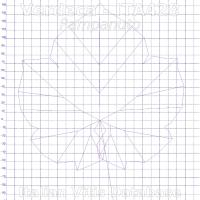 foglia ampelometrica