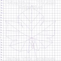 foglia ampelometrica