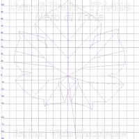 foglia ampelometrica