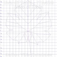 foglia ampelometrica