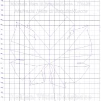 foglia ampelometrica