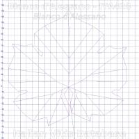 foglia ampelometrica