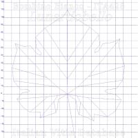 foglia ampelometrica