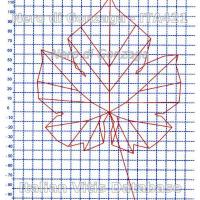 foglia ampelometrica