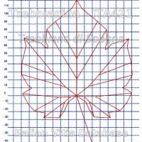 foglia ampelometrica