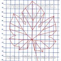 foglia ampelometrica