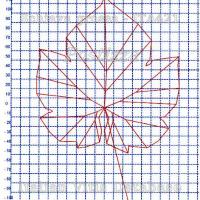 foglia ampelometrica