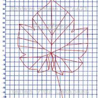 foglia ampelometrica