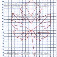 foglia ampelometrica