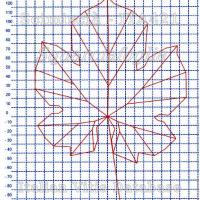 foglia ampelometrica