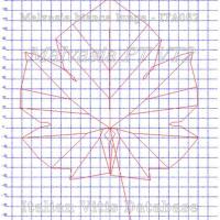 foglia ampelometrica