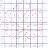 foglia ampelometrica
