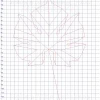 foglia ampelometrica