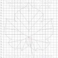 foglia ampelometrica