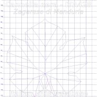 foglia ampelometrica