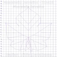 foglia ampelometrica