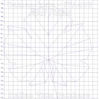 foglia ampelometrica