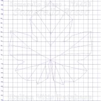 foglia ampelometrica