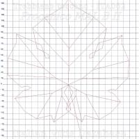 foglia ampelometrica