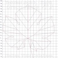 foglia ampelometrica