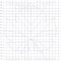 foglia ampelometrica